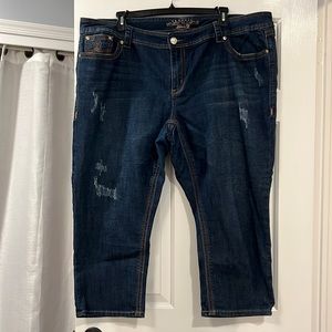 Melissa McCarthy Seven7 Jeans